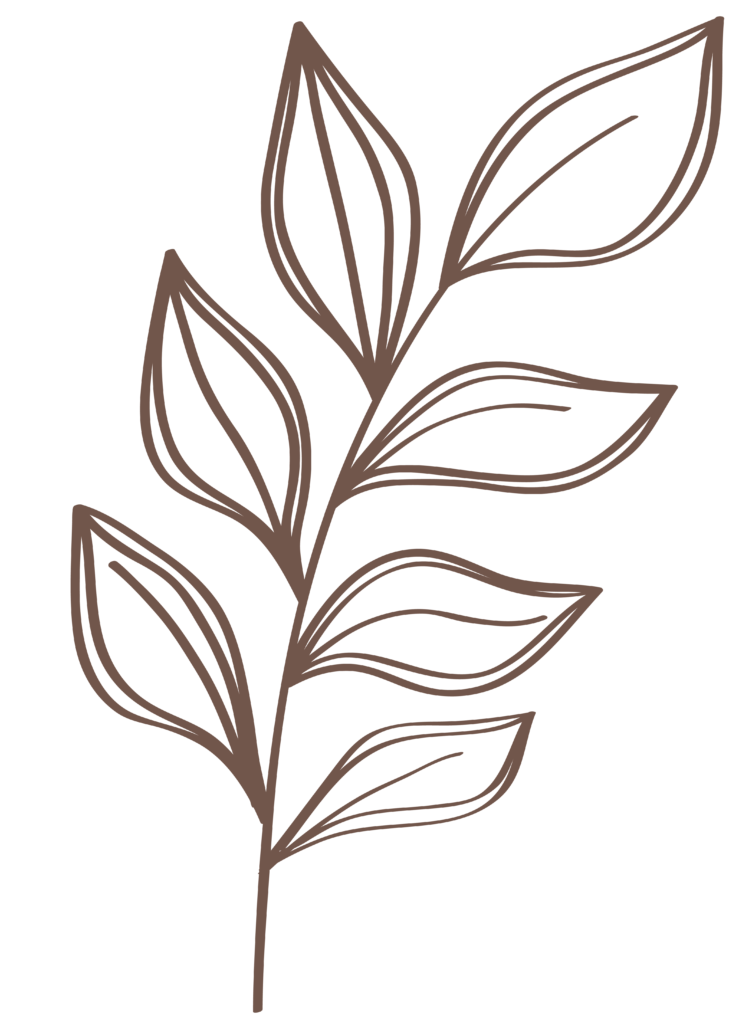 Infusing I AM tea brand message with brown leafy plant