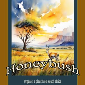 Honeybush herbal tea flyer featuring sweet, smooth flavor notes and calming benefits